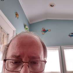 Kippy's Chat & Dating Profile