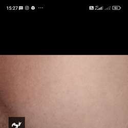 Shohmardon's Chat & Dating Profile