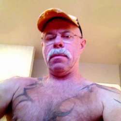 ShowHarry's Chat & Dating Profile