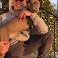 Tony541's Chat & Dating Profile