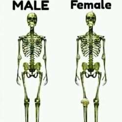 moizkhan72333's Chat & Dating Profile