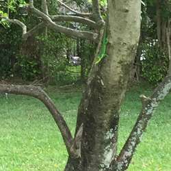 staircasestern's Chat & Dating Profile